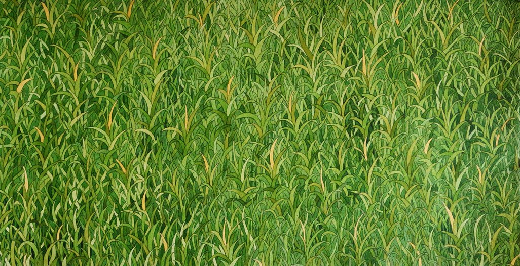 always-grass
